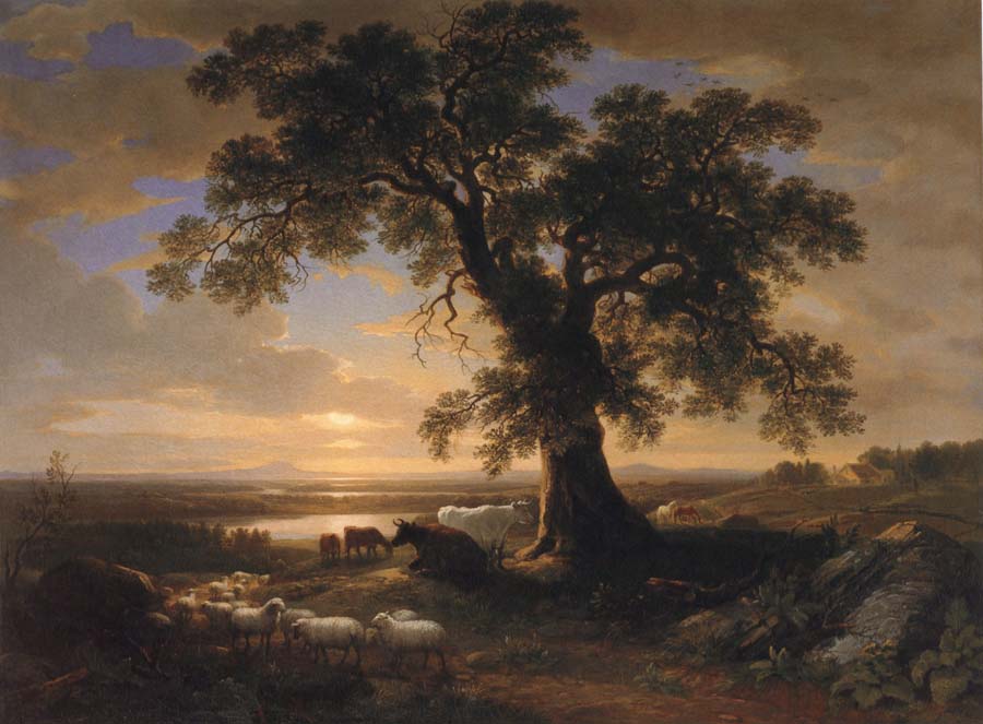 The Solitary oak